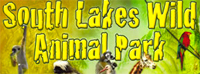 Dalton Zoo Link Dalton Zoo Logo